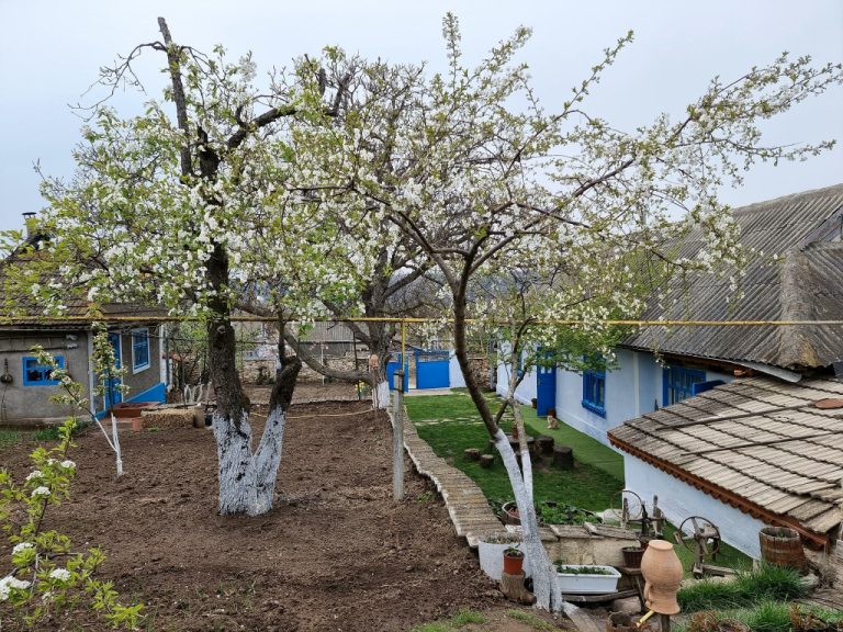 Discover the Countryman’s Museum in the village of Molovata Nouă