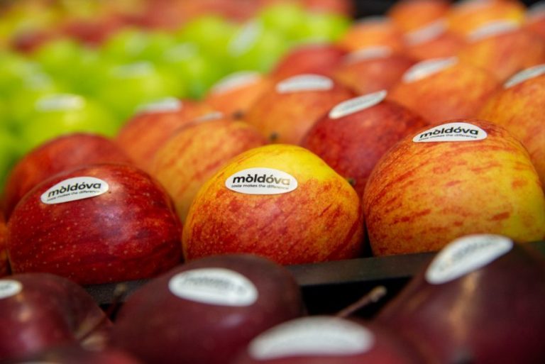 Moldovan apples were exported to 18 different countries in April 2022