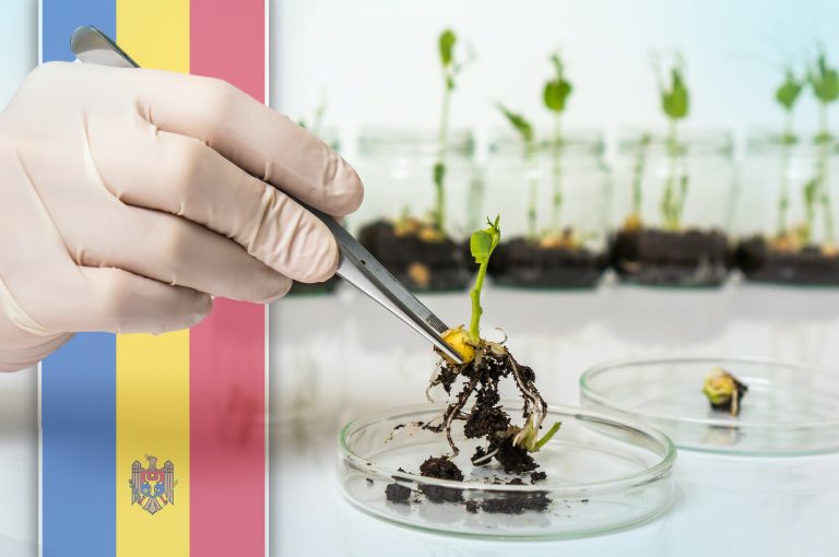 Moldova has banned the cultivation of genetically modified organisms