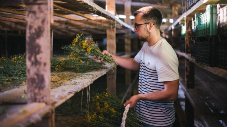 A young Moldovan started a business with herbs