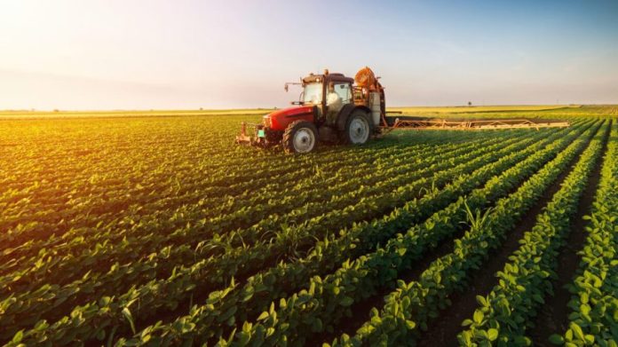 agricultori-900x505