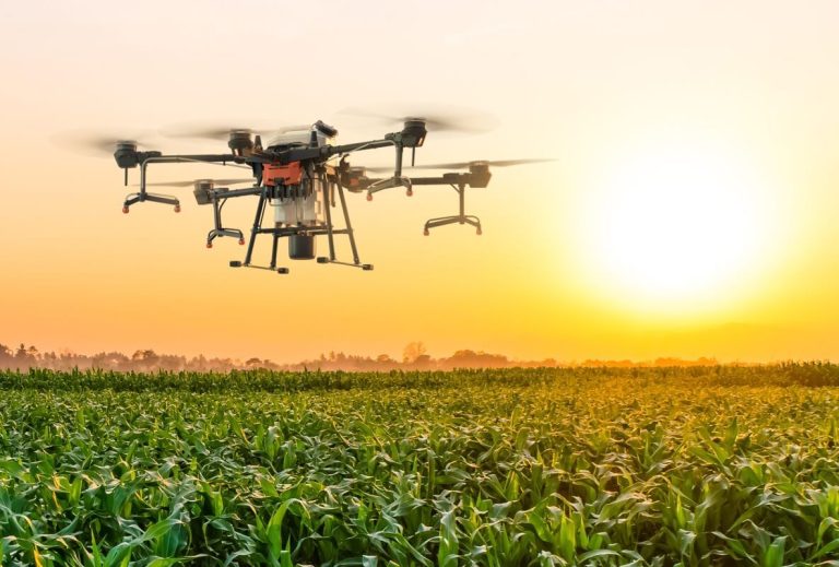 Drones now sprinkle crops and monitor the lands as Moldovan farmers lean in to agtech