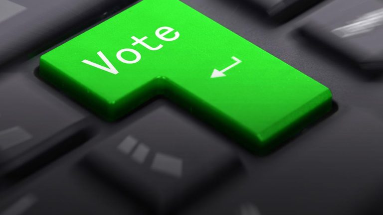 E-voting on next national elections. The opinion of the Expert