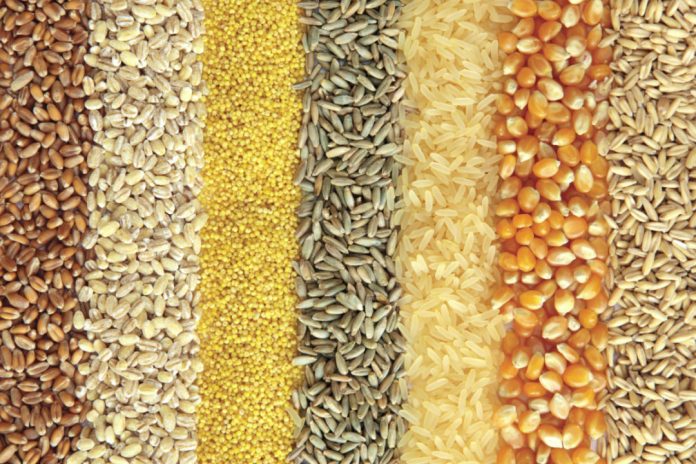 grains