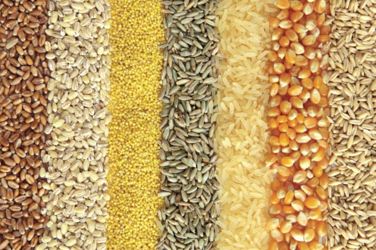 Moldova’s grain export has grown considerably compared to previous years!