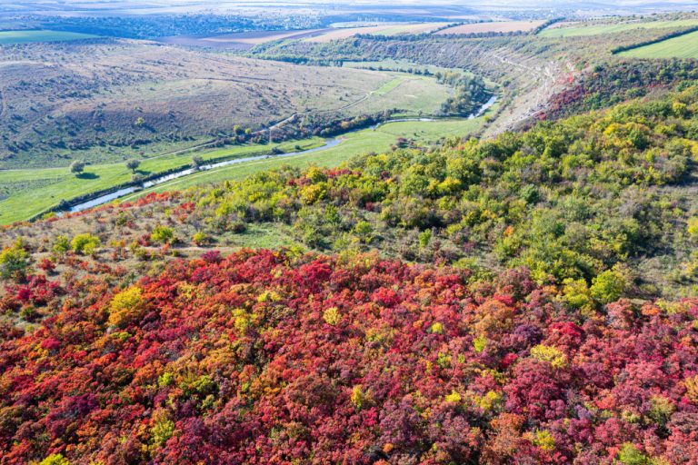 Red, yellow, purple! How the Orheiul Vechi reserve looks this season from a bird’s eye view