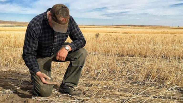 Farmers will receive support for assessing the effects of drought on agriculture