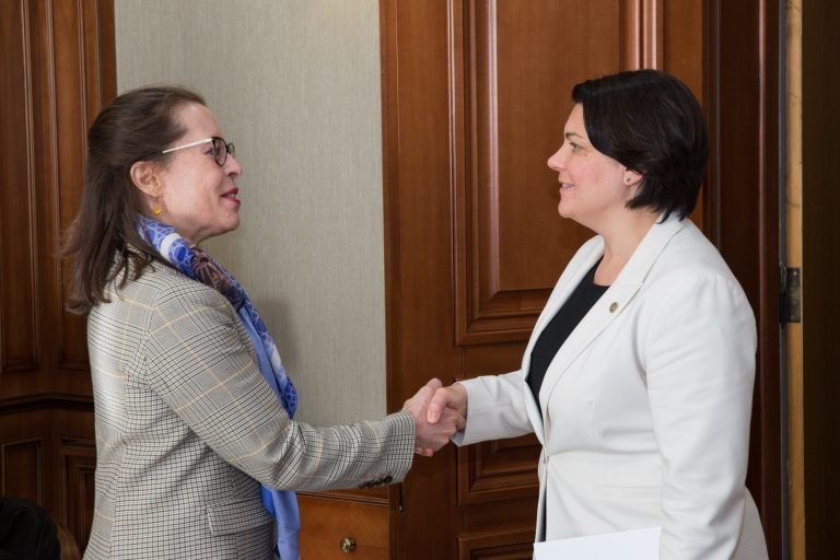 Prime Minister Gavrilița had a meeting with the new head of the OSCE mission in Moldova