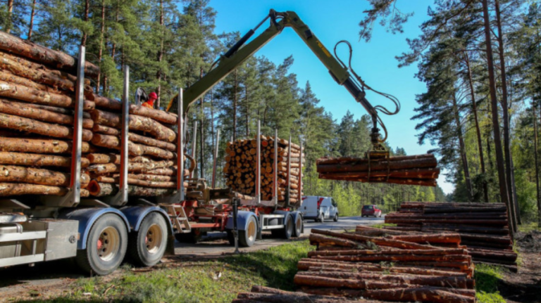 Romania offers Moldova 200 thousand sterile meters of wood for heating