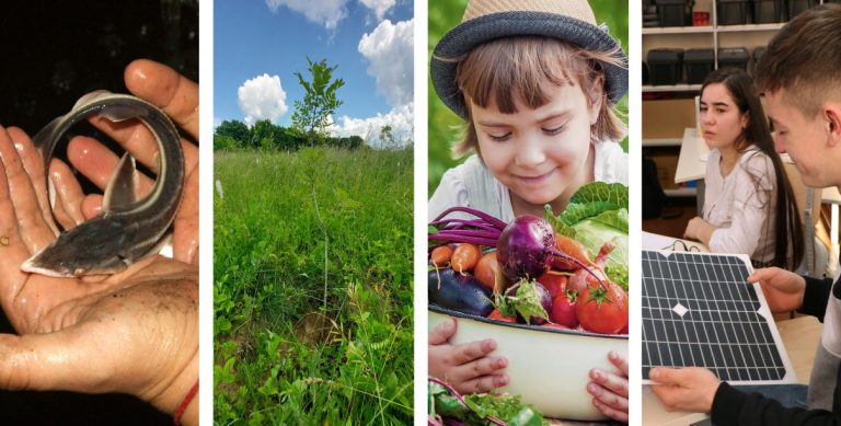 GEF Small Grants Program – UNDP, 10 years in Moldova