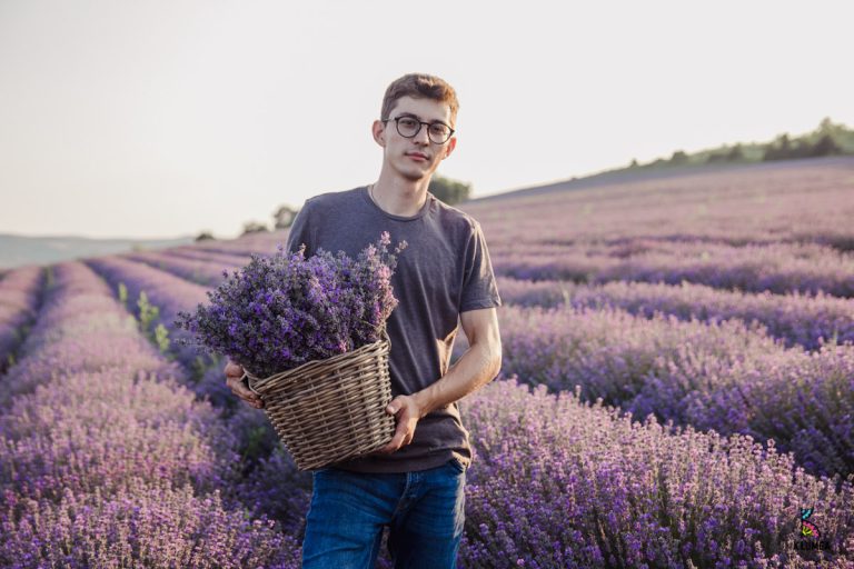 The Moldovans who created a lavender paradise at home