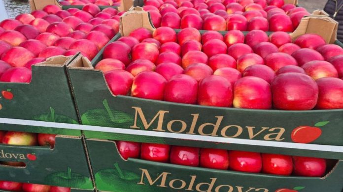 export_mere_producatori-900x505