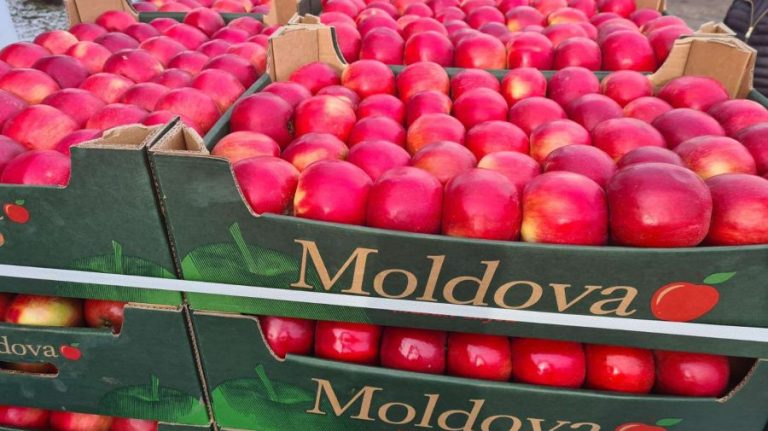 The global production of apples in Moldova, this year, is 40% lower than the previous year