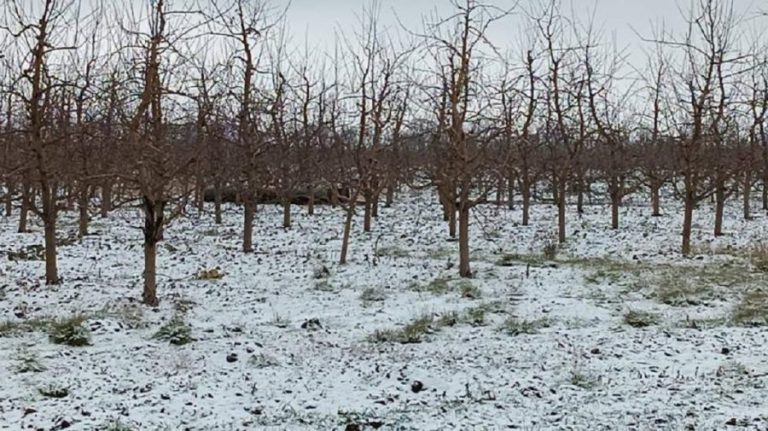 Another missile, discovered in Moldova! During the bombings in Ukraine, the projectile fell in Briceni