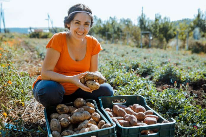 a8bad1de-f5f4-d285-17c5-a455e0158e8c