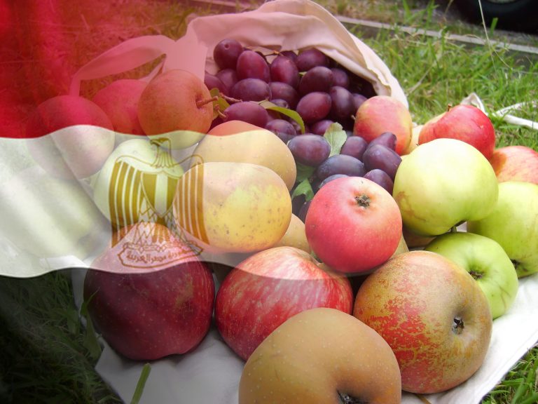 Moldovan apples and plums, now on the Egyptian market!