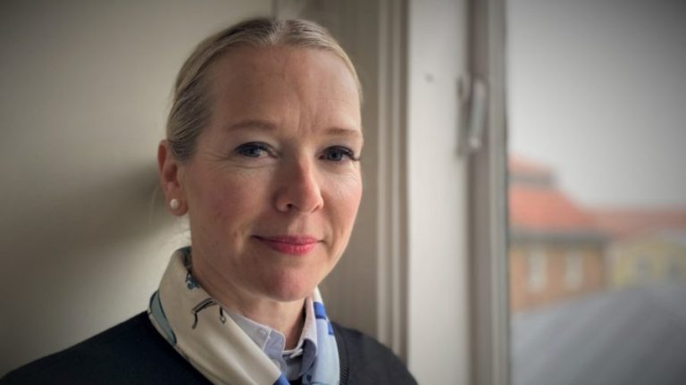 The Swedish Secretary of State, Diana Janse, is visiting Moldova