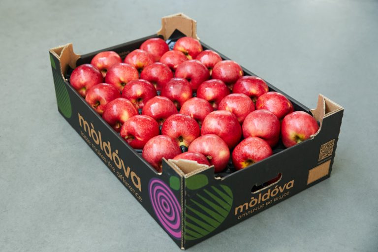 The export of Moldovan apples has expanded! Check out the map