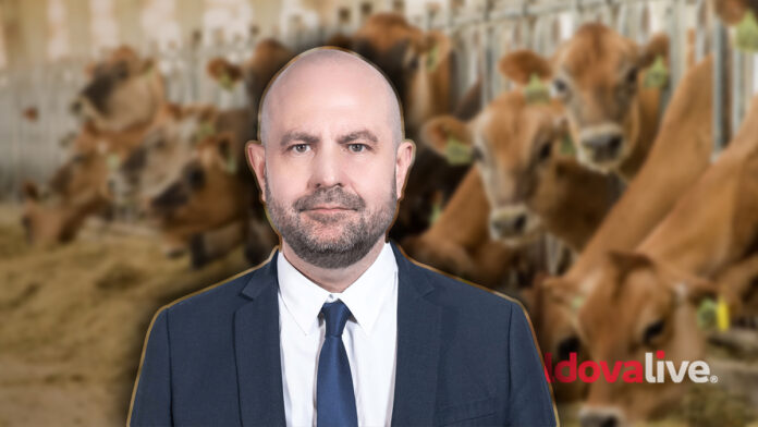 bolea animal husbandry