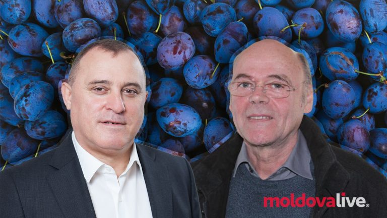 Moldovan plums expand their presence on the German market