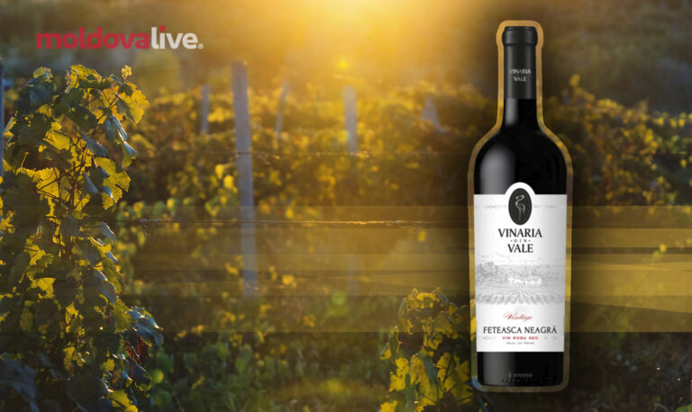 Vinăria din Vale – a family business run by people who value quality and tradition