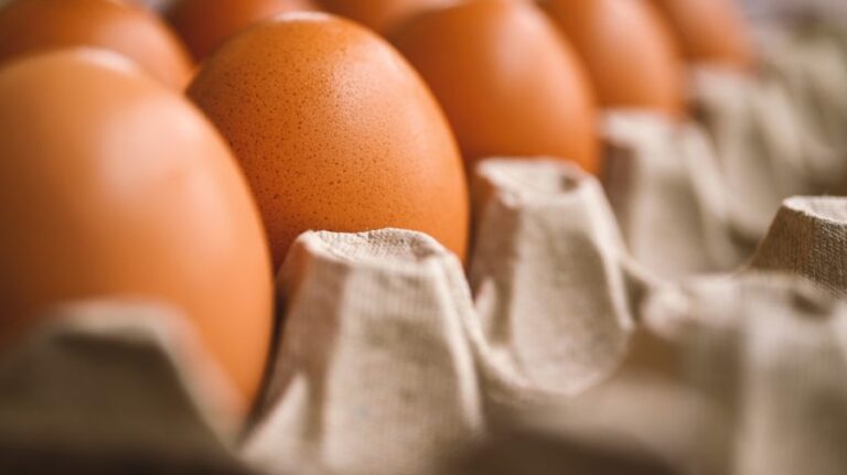 A first for Moldova: Domestic producers have obtained the right to export eggs and processed meat to the EU