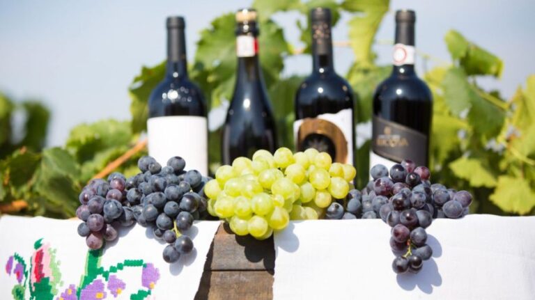 National Wine and Vine Office Hosts Conference to Discuss Sustainability and Development in the Viticulture Industry