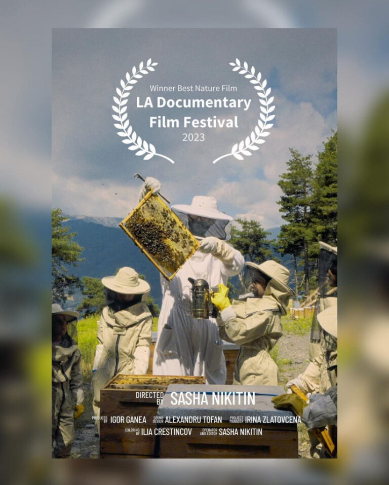 A film directed by a Moldovan has been named the winner at an international festival in Los Angeles