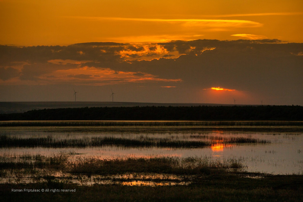 Exploring The Beauty: 15 Picturesque Photographs Of Lunca Prutului De 