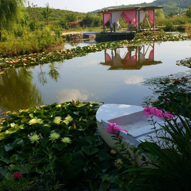 Locations in Moldova where you can admire the beauty of water lilies. How much it will cost you and how you can reach your destination