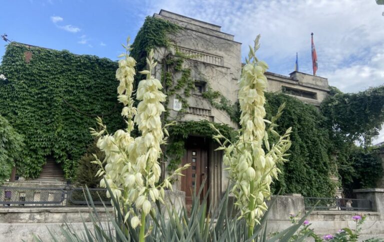 Exploring Art and Culture at the Enigmatic House in Chișinău: Concerts, Exhibitions, Film Archives, and Collaborative Celebrations