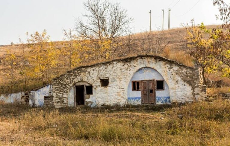 Rogojeni: An Open-Air Museum