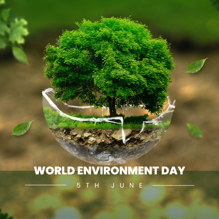 Environment Day Festival Returns to Valea Morilor Park on June 10th