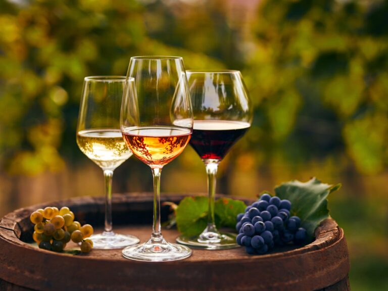 Discover the Wine Culture of Moldova: On The Map Project’s Wine Week Excursions