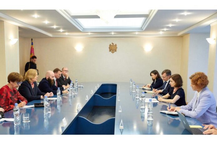 23005571_big1689225879