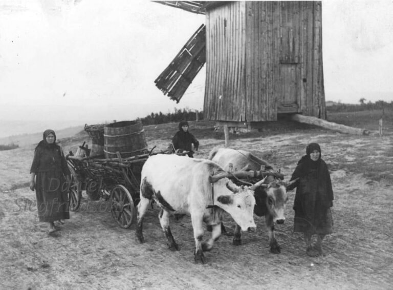 Capturing Daily Life: Photographs from Bessarabia in the ’30s-’40s