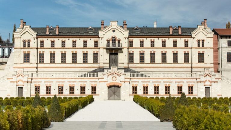 Castel Mimi Uncorks the EU Presidents Collection, Toasting Moldova’s Eurointegration Milestone!