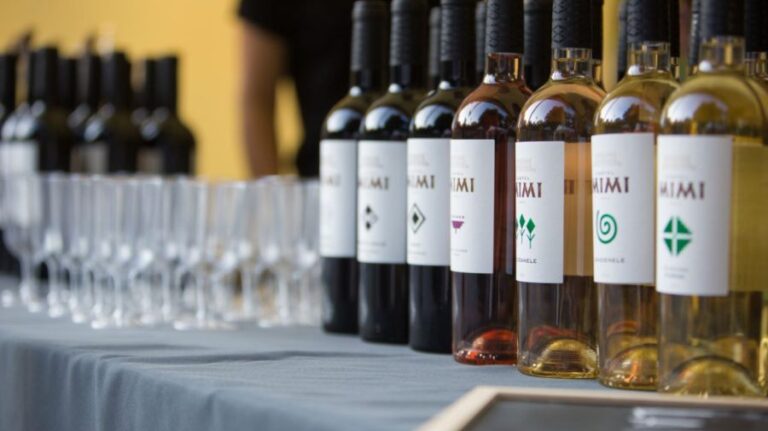 At VinOpera, the Wine Vernissage will take place. Come to Castel Mimi and meet the small producers from the country!