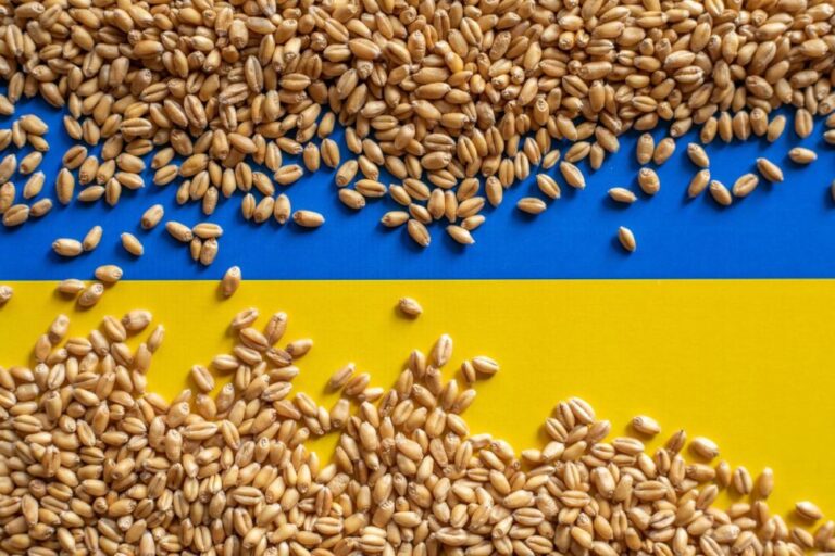 US, EU, Moldova, and Romania Representatives Discuss Routes for Ukrainian Cereal Transportation