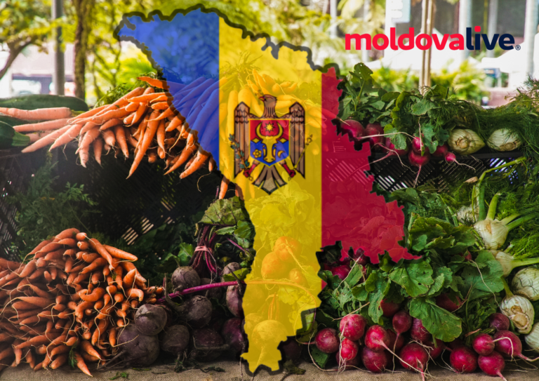 Impressive Agricultural Growth: Moldova Sees a 27.5% Increase in Production