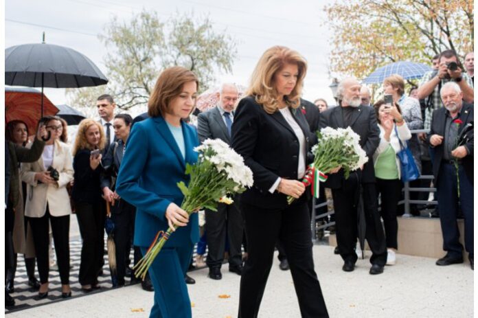 23008689_big1698850835-1