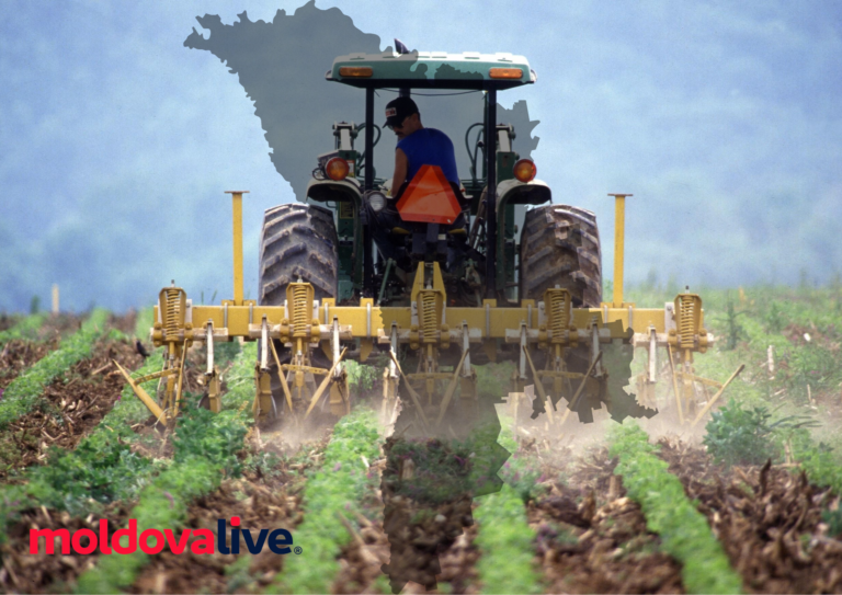 Government Allocates 200 Million Lei to Aid Moldovan Small Farmers in Crisis Recovery