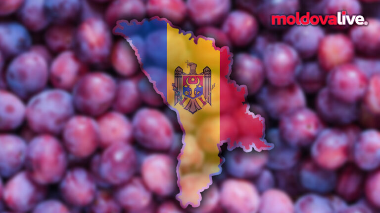 Record Plum Export: Moldova Emerges as Top Global Player in 2023