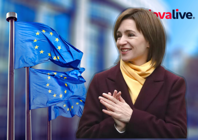 Дизайн без названия - 2023-11-08T152353.290