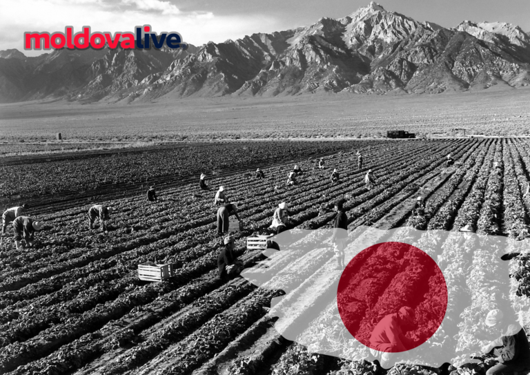 Japan Grants 1.8 Million Euros to Support Moldovan Farmers Amid Regional Challenges