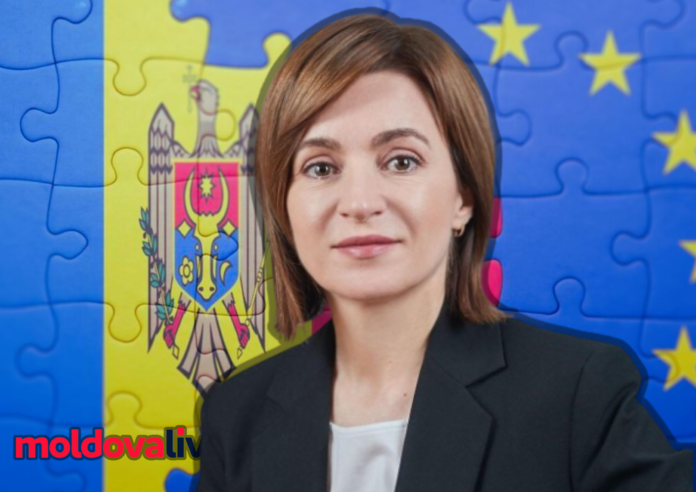 Дизайн-без-названия-2023-12-13T222236.312