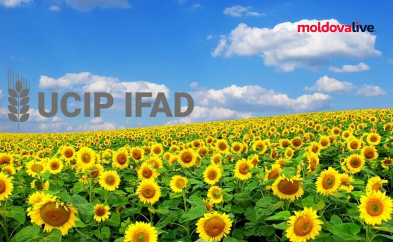 Moldova Launches Financial Support for Fruit Processing Businesses