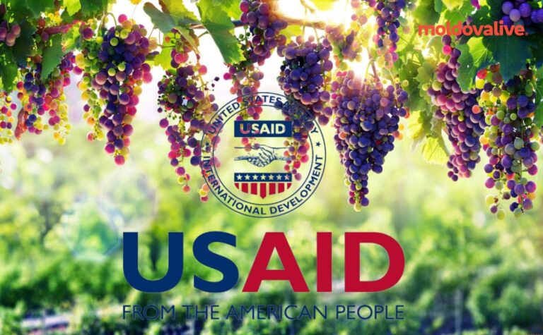 Grape and fruit exporters from the Republic of Moldova will receive USAID support to promote their products in international markets