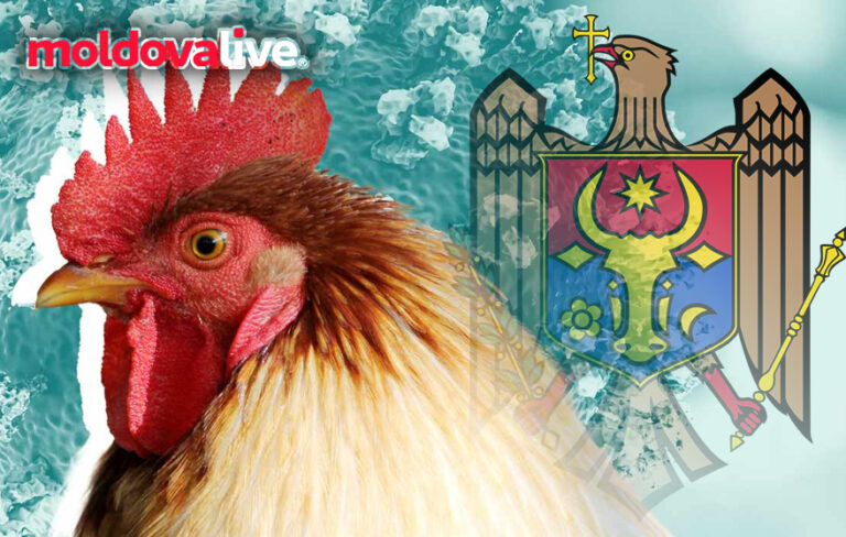Moldova Takes Urgent Measures as Avian Influenza Outbreaks Increase