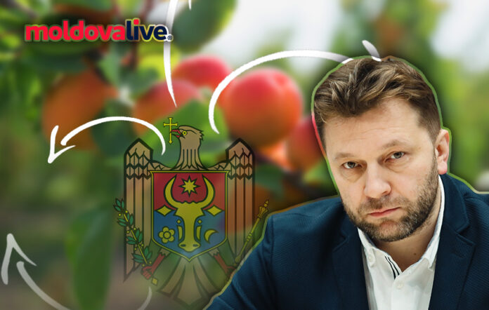 dumitru alaiba moldovafruct moldovan fruits export 2023 exportul de fruct din moldova 2023 a crescut caise cirese prune mere moldovalive